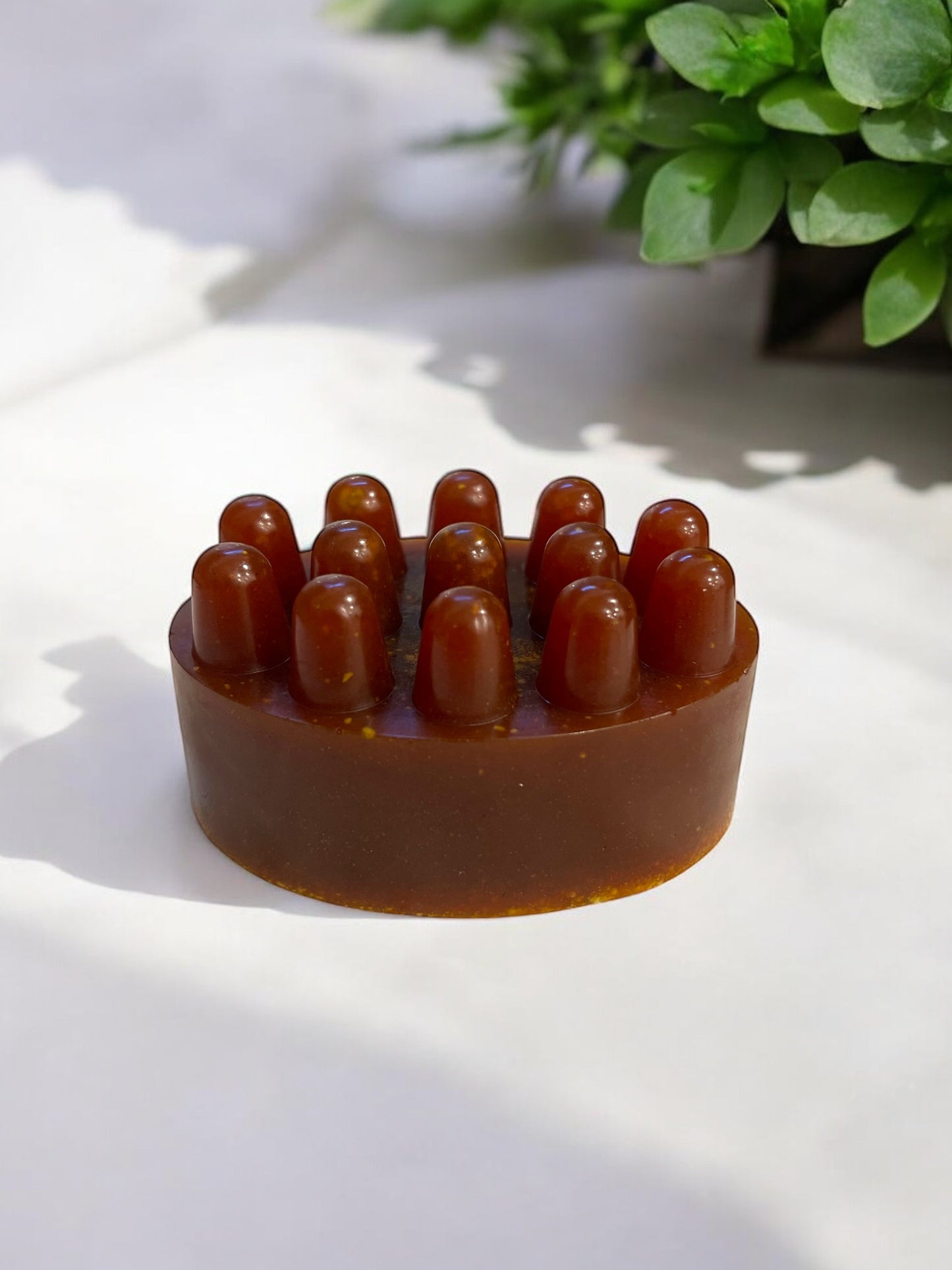 Honey Turmeric Aloe Soap- Acne Fighting & Glow Boosting