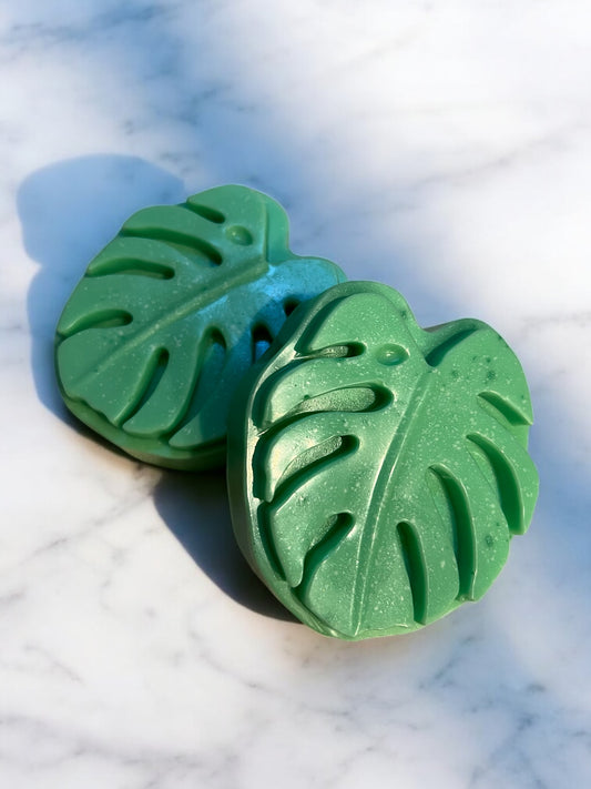 Monstera Agave Serenity Soap – Eucalyptus, Mint & Agave Suckle